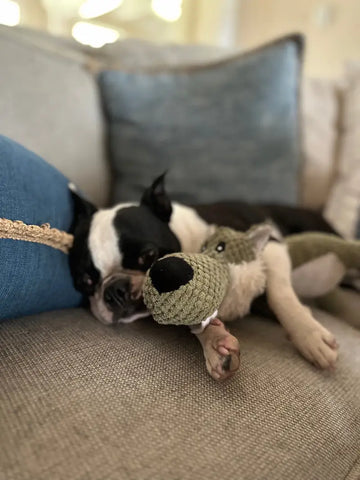 ChewAnimal™- Designed for Strong Chewers - 🚨 Limited-Time Offer: Today only. buy one ChewAnimal™ and get one FREE!