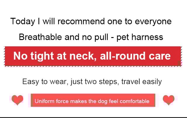 No Pull Dog Harness for Pets